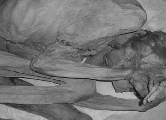 oldest tattooed mummy, Oldest tattooed mummy found in Egypt, 5000 year old Oldest tattooed mummy found in Egypt
