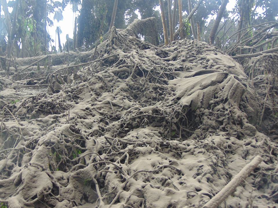 Island of no return: Vanuatu evacuates entire population of volcanic Ambae covered in ash