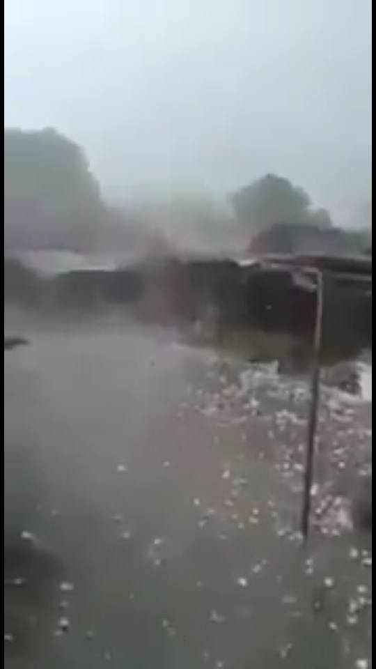 hailstorm kills 50 people in India, hailstorm kills 50 people in India pictures, hailstorm kills 50 people in India video, hailstorm kills 50 people in India april 2018