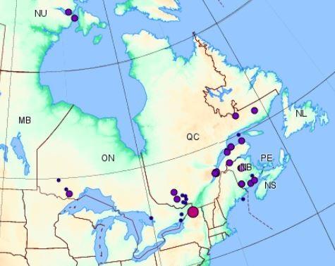 mysterious earthquake swarm mcadam new brunswick canada, mcadam earthquake swarm video, mcadam earthquake swarm mystery, mcadam earthquake swarm april 2018, mcadam earthquake swarm canada new brunswick, Mysterious earthquake swarm rattles inhabitants of McAdam in New Brunswick and nobody knows where the quakes come from