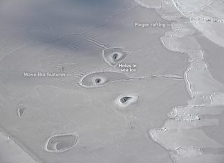 mysterious circles in Arctic sea ice, mysterious circles in Arctic sea ice picture, Unexplained circles in Arctic sea ice baffle NASA scientists