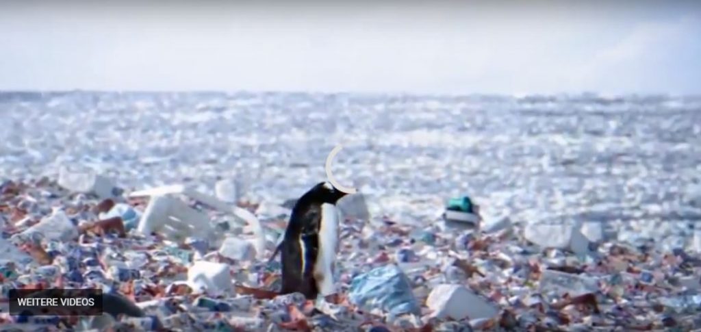 penguins living on an island of plastic waste, penguins living on an island of plastic waste video, penguins living on an island of plastic waste picture