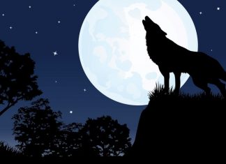 full moon sleep, Can a full Moon really affect your sleep?