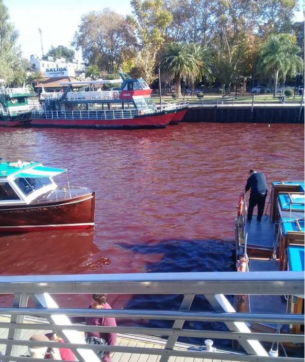 river turns blood red tigre buenos aires argentina, tigre rio rojo, tigre river argentina red water, red water tigre argentina