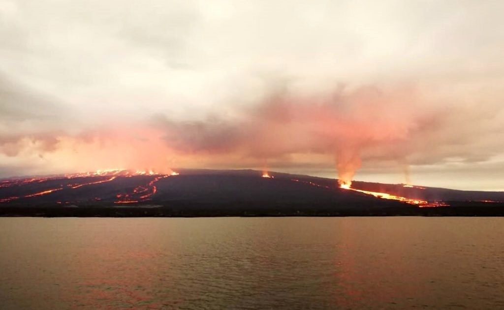Eruption Sierra Negra volcano Isabela Island Galapagos, new volcano erupts galapagos, galapagos volcanic eruption