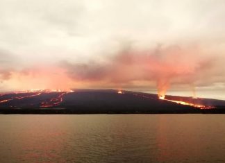 Eruption Sierra Negra volcano Isabela Island Galapagos, new volcano erupts galapagos, galapagos volcanic eruption