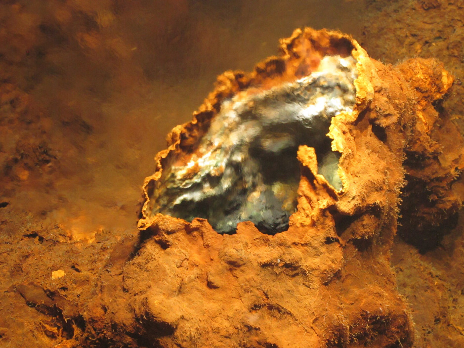 new hydrothermal fied discovered azores, new hydrothermal field azores, azores hydrothermal field