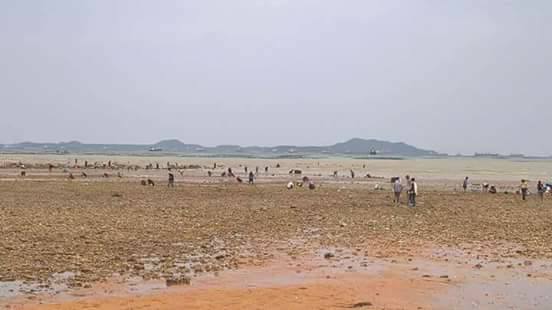 Ocean disappears in Thailand in June 2018, Strong water receding reported in the Gulf of Thailand in June 2018, thailand water disappearance, water disappears in thailand, ocean disappears thailand