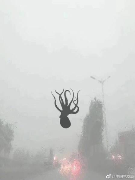 sea creatures fall from sky china, Octopus falls from the sky during a furious storm, sea animals fall from sky china