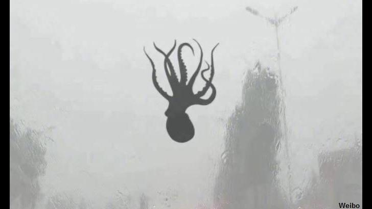 sea creatures fall from sky china, Octopus falls from the sky during a furious storm, sea animals fall from sky china