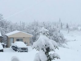 snow alaska june 2018, alaska snow, snow anomaly alaska june 2018