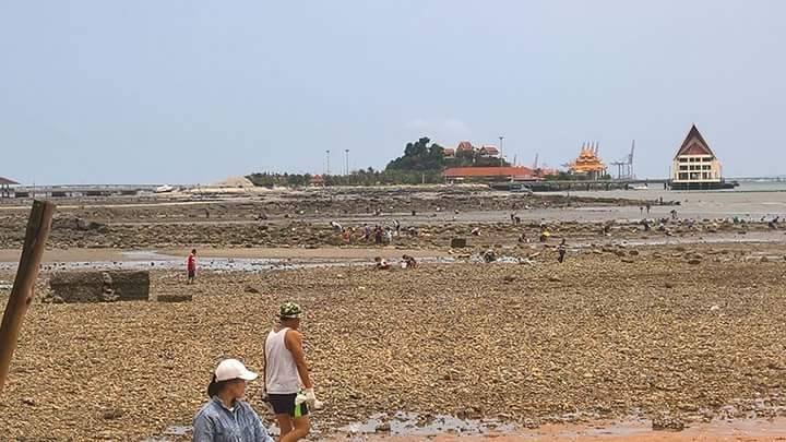 Strong water receding reported in the Gulf of Thailand in June 2018, thailand water disappearance, water disappears in thailand, ocean disappears thailand