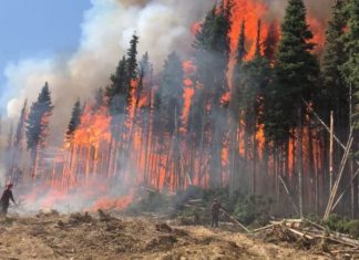 Wildfire season now the worst in history in British Columbia, worst wildfire season bc is 2018