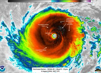 hurricane hector, Four Tropical Systems Swarm the Pacific Ocean, hurricane hector hawaii, hurricane hector category 4,