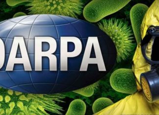 darpa insect allies, Scientists Accuse DARPA of Genetically Modifying Insects for Bioweapon to Spread Agricultural Viruses