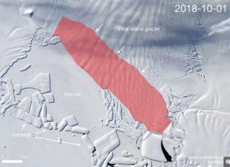 new giant iceberg calving pine island bay antarctica, new giant iceberg antarctica