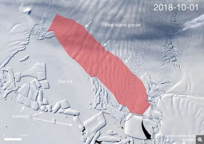 new giant iceberg calving pine island bay antarctica, new giant iceberg antarctica