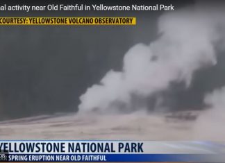rare geyser eruption near old faithful yellowstone, Rare eruption of Ear Spring on Geyser Hill, just across the Firehole River and within sight of Old Faithful., Rare eruption of Ear Spring on Geyser Hill, just across the Firehole River and within sight of Old Faithful. video