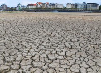 rhine river dry, rhine river dries up due to hot summer, The Rhine river is at record low level, The Rhine river is at record low level pictures, The Rhine river is at record low level video, The Rhine river is at record low level october 2018
