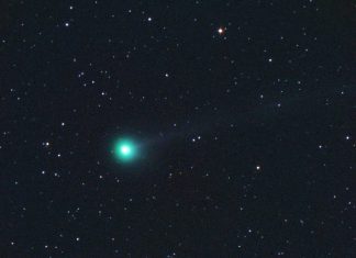 new comet discovered, new comet discovered pictures, new comet discovered by amateur astronomers
