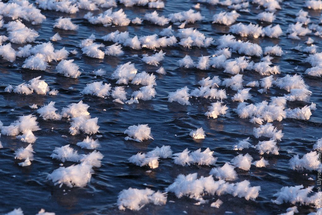 ice flowers russia, ice flowers russia pictures, ice flowers russia video, ice flowers russia december 2018