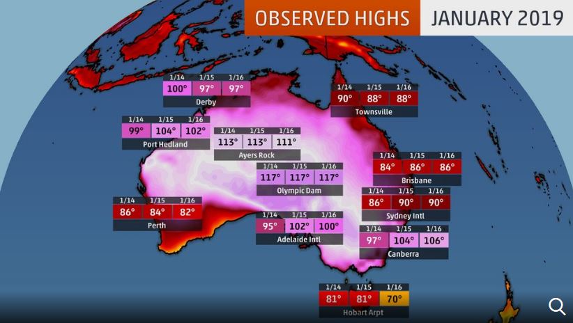 heatwave australia january 2019, heatwave australia january 2019 bats falling from trees, heatwave australia january 2019 video, heatwave australia january 2019 map