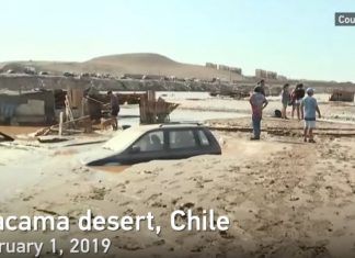 atacama desert floods february 2019, atacama desert floods february 2019 video, atacama desert floods february 2019 pictures