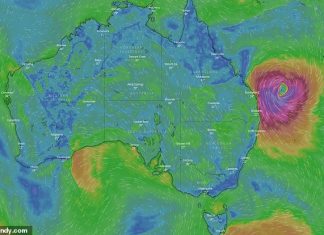 cyclone oma australia new zealand