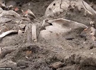 Mass grave containing 1,000 executed Jewish men, women and children is uncovered on the site of WWII Belarus ghetto where 28,000 were killed by the Nazis