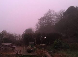 pink fog uk, pink fog uk video, pink fog uk picture, pink fog uk february 2019