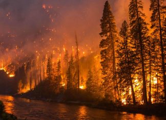 wildfire washington, wildfire washington 2019, bad wildfire washington 2019