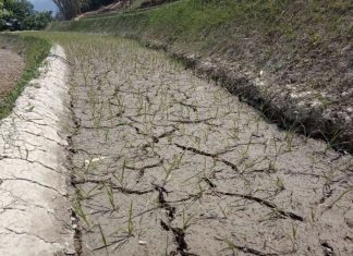 china drought geoengineering, China tries to save crops from unprecedented drought in Yunnan by using geoengineering and artficial rain, food crisis