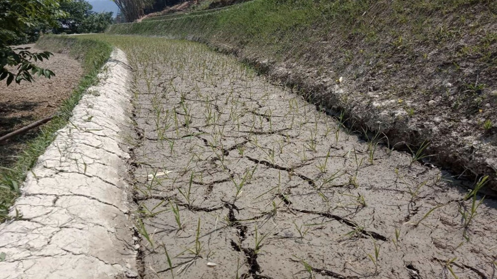 china drought geoengineering, China tries to save crops from unprecedented drought in Yunnan by using geoengineering and artficial rain, food crisis