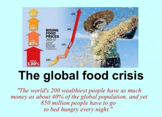 Global Food Crisis, The Global Food Crisis, Global Food Crisis widespread food crisis, food crisis around the world