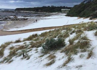 Victoria’s Cape Paterson looked like a snowfield after it was hit by a large hailstorm. Photograph: Luke Watson/Twitter