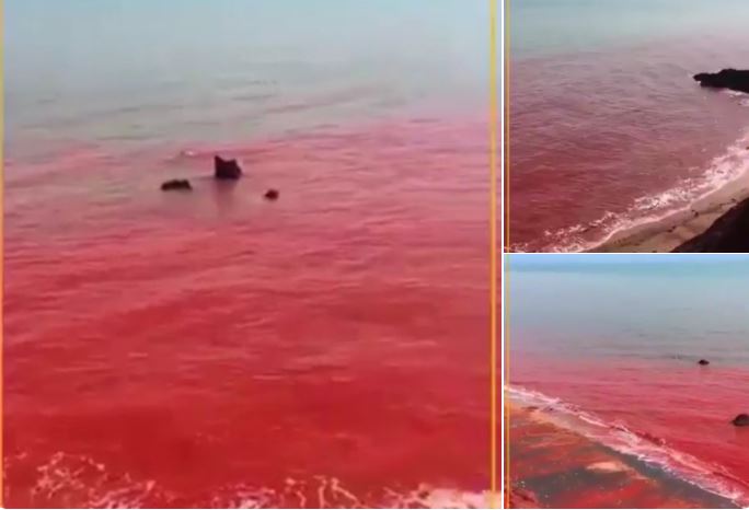 water of the Hormuz strait has turned blood red in Iran, water of the Hormuz strait has turned blood red in Iran video, water of the Hormuz strait has turned blood red in Iran picture, water of the Hormuz strait has turned blood red in Iran may 2019