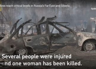 russia fires may 2019, russia fires may 2019 video, russia fires may 2019 pictures
