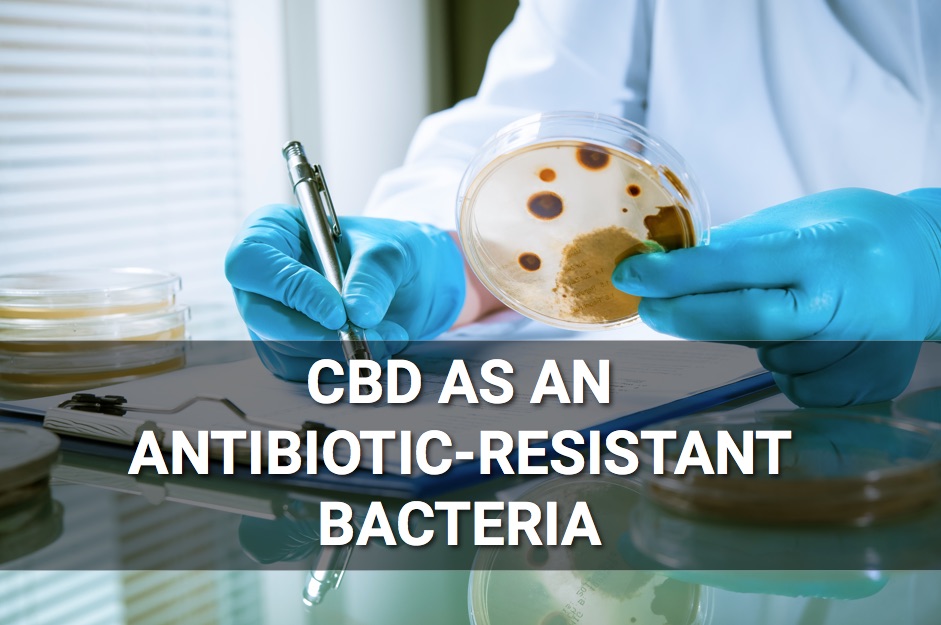 CBD cannabidiol is a new powerful antibiotic, CBD cannabidiol is a new powerful antibiotic science, CBD science, cbd anibiotics news