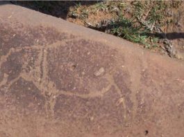 ancient rock carving in world largest impact crater south africa, Archeologists have discovered ancient rock carving in the world's largest impact crater in South Africa