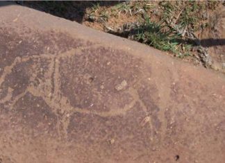 ancient rock carving in world largest impact crater south africa, Archeologists have discovered ancient rock carving in the world's largest impact crater in South Africa