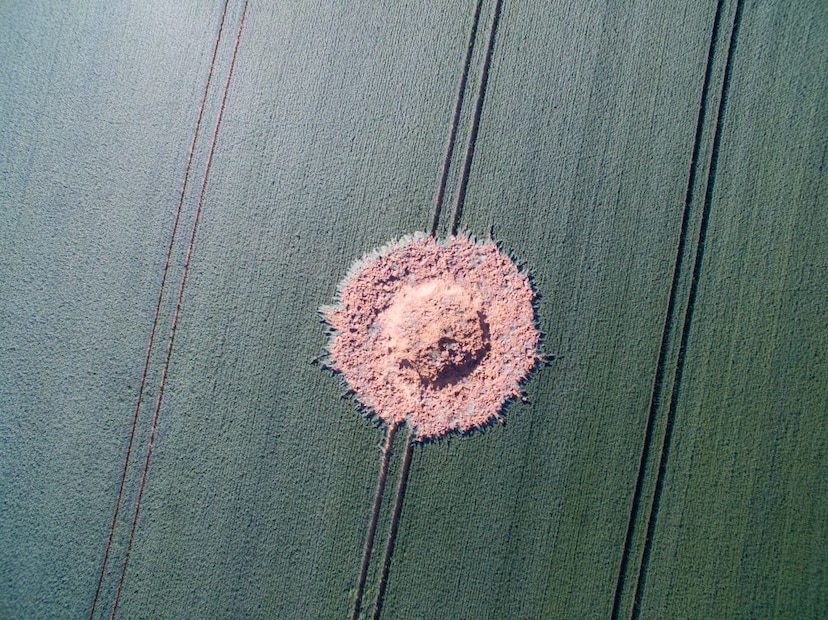 mysterious explosion german cornfield WWII bomb, mysterious explosion german cornfield WWII bomb picture, mysterious explosion german cornfield WWII bomb video, mysterious explosion german cornfield WWII bomb june 24 2019