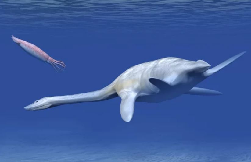 New dinosaur discovered in Antarctica: Giant plesiosaur looking like Loch Ness monster unearthed