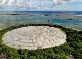 High radiation levels found in giant clams near U.S. nuclear dump in Marshall Islands
