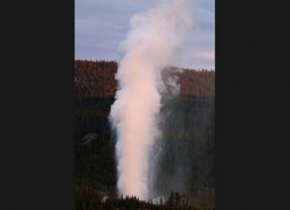 Yellowstone steamboat geyser eruption continues breaking records in June 2019, yellowstone steamboat geyser eruption record
