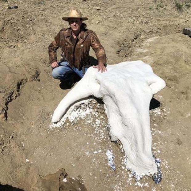triceratops skull north dakota, Harrison Duran, a fifth-year biology student obsessed by dinosaurs, discovered a Triceratops skull during a paleontology dig in North Dakota