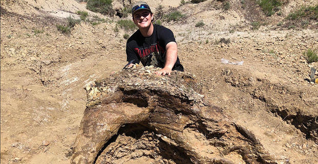 triceratops skull north dakota, Harrison Duran, a fifth-year biology student obsessed by dinosaurs, discovered a Triceratops skull during a paleontology dig in North Dakota