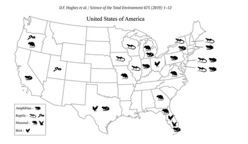 animals found in pre-packed salads, Map of animals found in pre-packed salads in the USA, pre-washed salads animal, what animals are found in pre-washed salad, is pre-washed salad healthy?