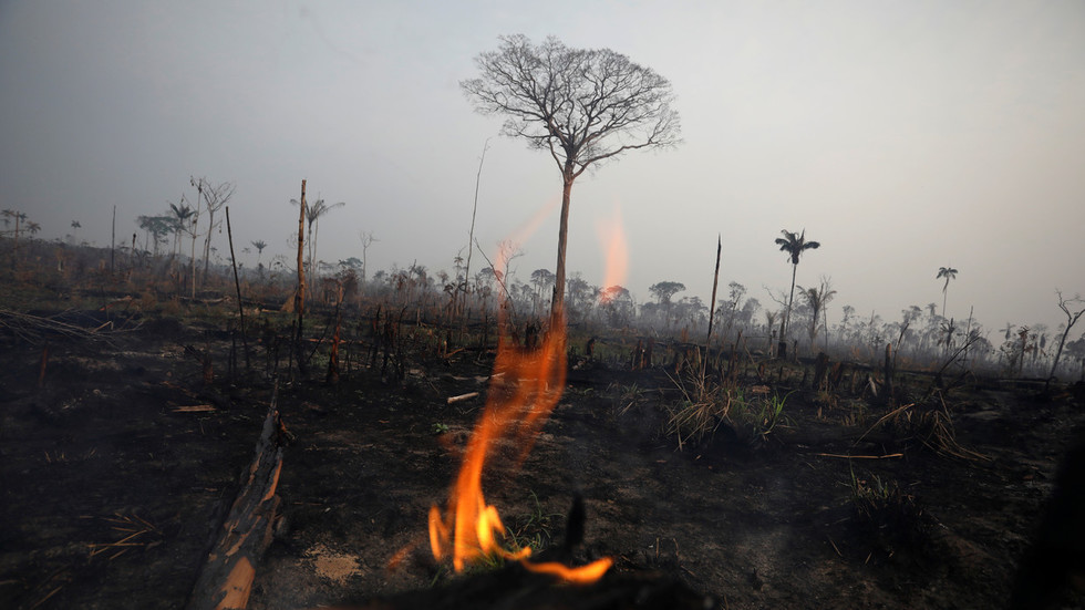 Wildfires scorch Africa but world’s media stay focused on Brazil’s blazes