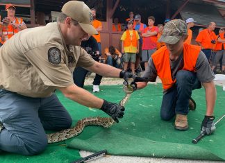 Florida Fish and Wildlife offers youth python hunting program, how to become a man in Florida