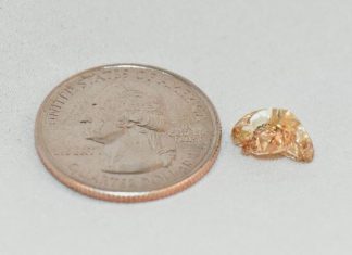 A 3.72 carat yellow diamond found in Arkansas’s Crater of Diamonds State Park by 27-year-old Miranda Hollingshead of Bogata Texas. (Arkansas State Parks)